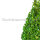 Buchsbaum Kegel | 40+cm | Kegelfuß Ø19cm | Getopft | 4 Jahre alt | 3L